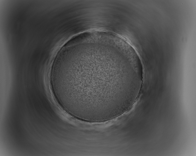 X0000093170001200710031512