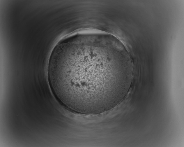 X0000093170003200710031512