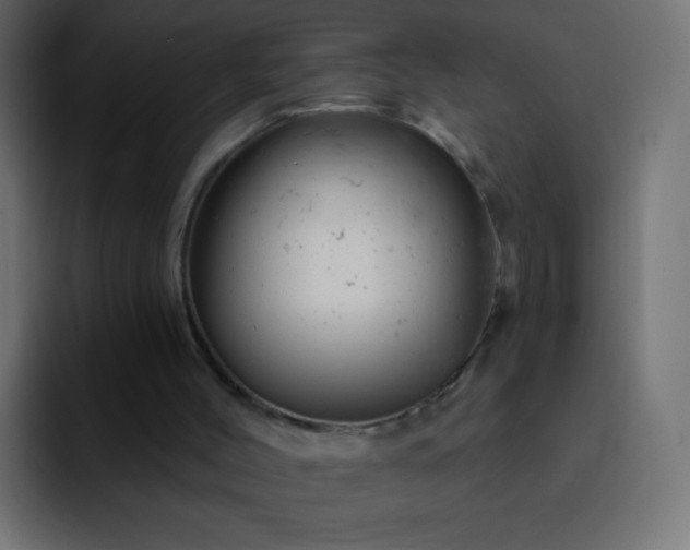 X0000093170004200710031512