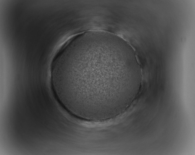 X0000093170005200710031512