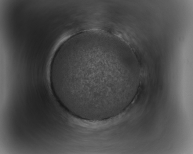 X0000093170006200710031512