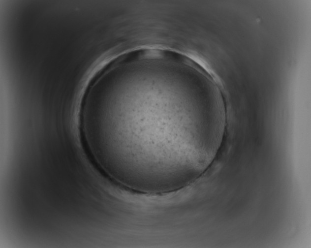 X0000093170007200710031512