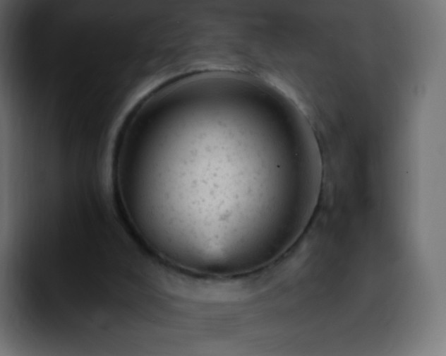 X0000093170008200710031512