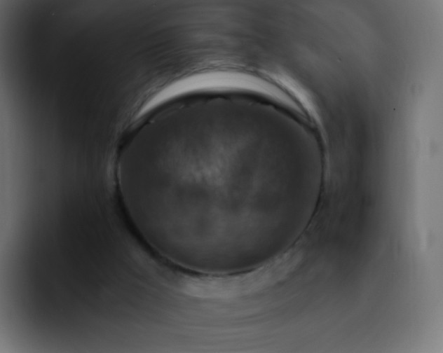 X0000093170009200710031512