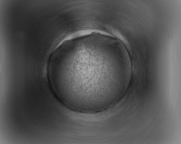 X0000093170010200710031512