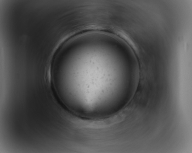 X0000093170011200710031512
