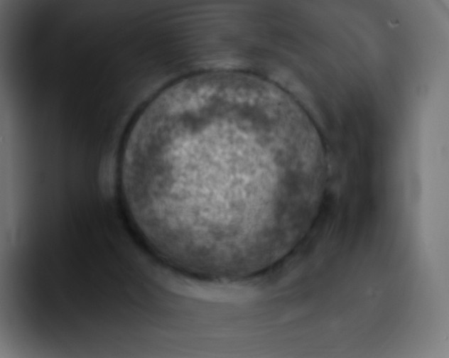 X0000093170012200710031512