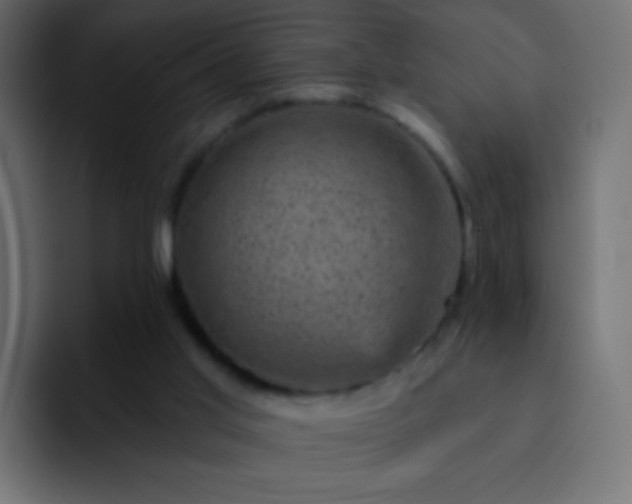 X0000093170013200710031512