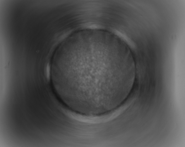 X0000093170014200710031512