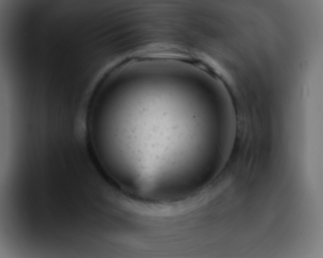 X0000093170015200710031512