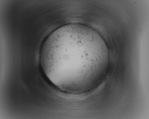 X0000093170016200710031512