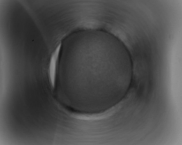 X0000093170017200710031512
