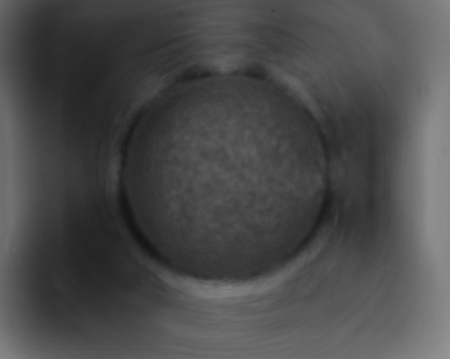 X0000093170018200710031512