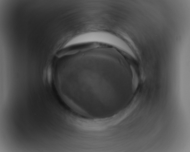 X0000093170019200710031512