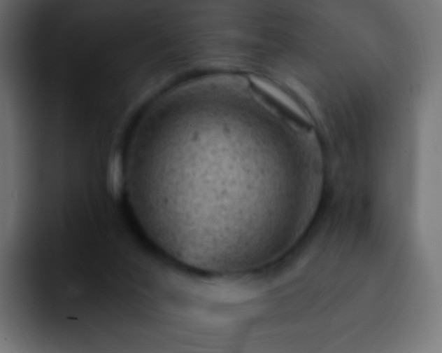 X0000093170020200710031512