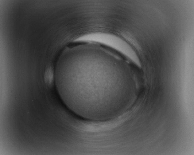 X0000093170021200710031512
