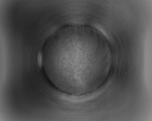 X0000093170022200710031512