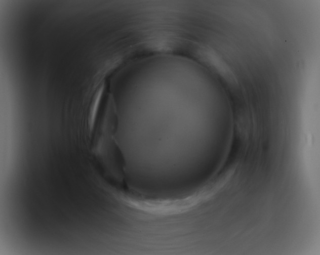 X0000093170023200710031512