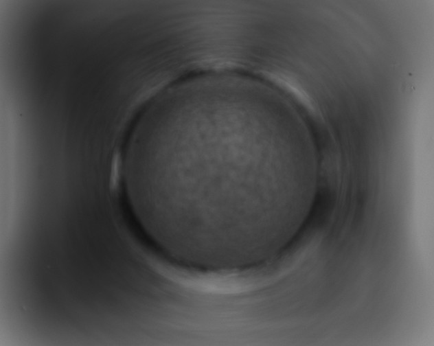 X0000093170024200710031512