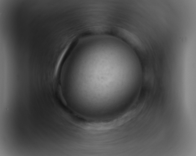 X0000093170025200710031512