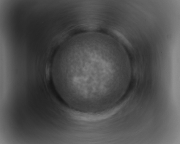 X0000093170026200710031512