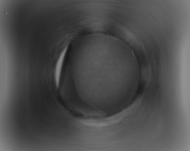 X0000093170029200710031512
