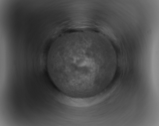 X0000093170030200710031512