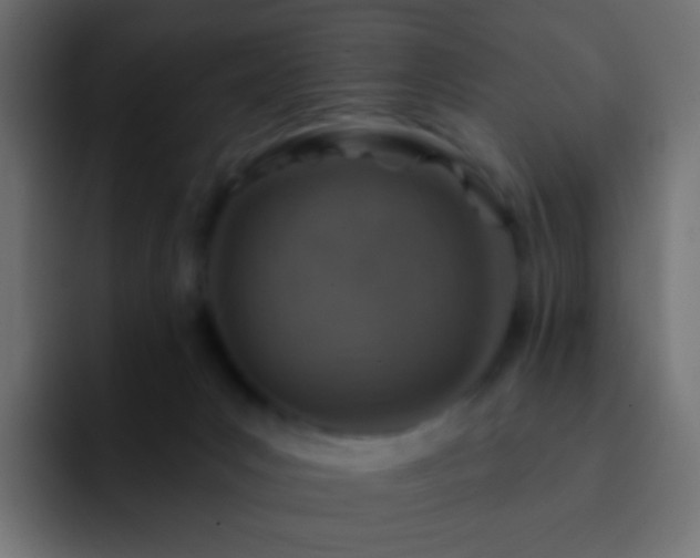 X0000093170031200710031512