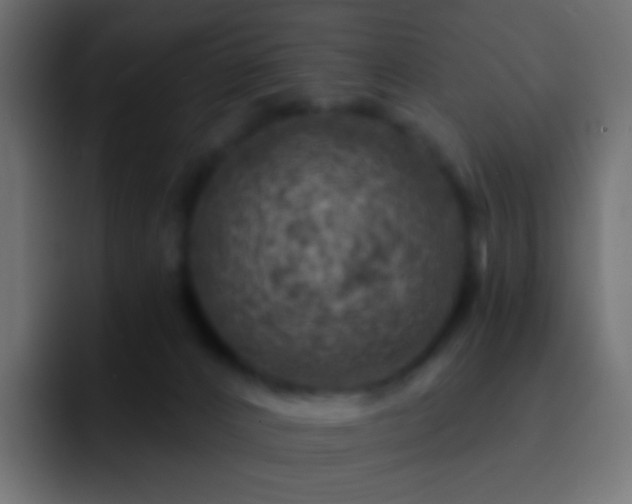 X0000093170032200710031512