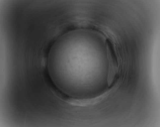 X0000093170033200710031512