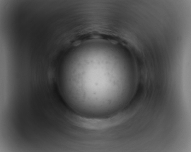X0000093170034200710031512