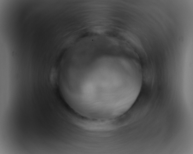 X0000093170036200710031512
