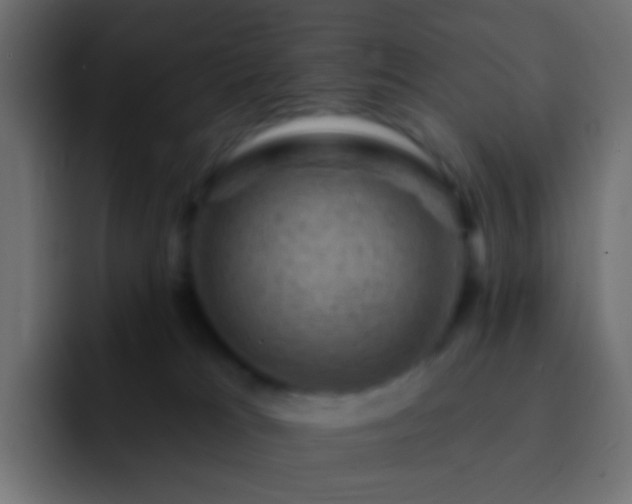 X0000093170037200710031512