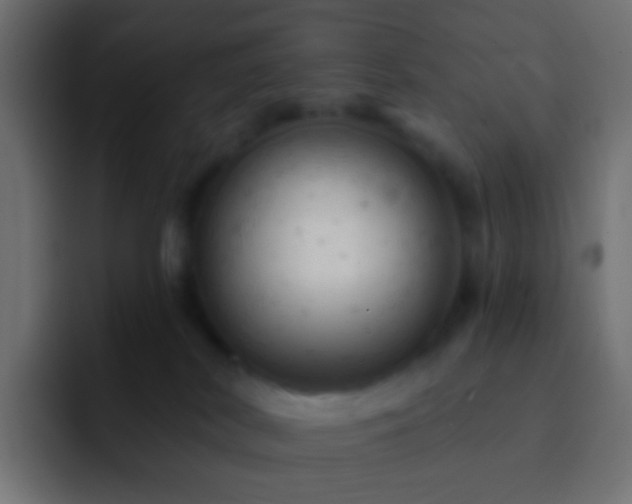 X0000093170038200710031512