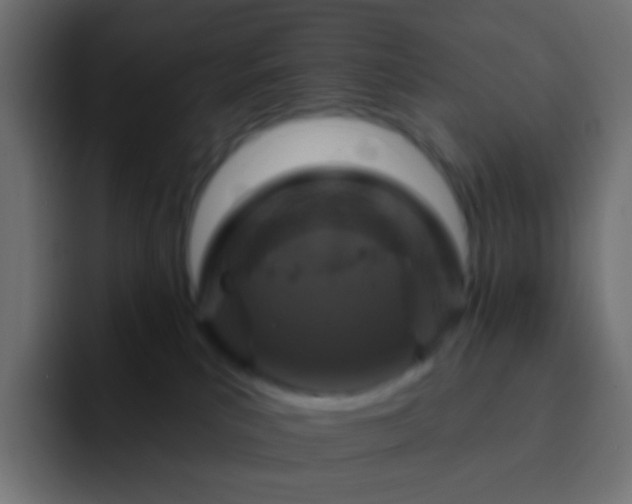 X0000093170039200710031511