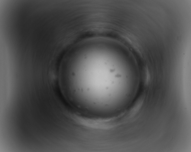 X0000093170040200710031511
