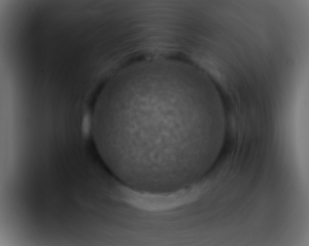 X0000093170042200710031511