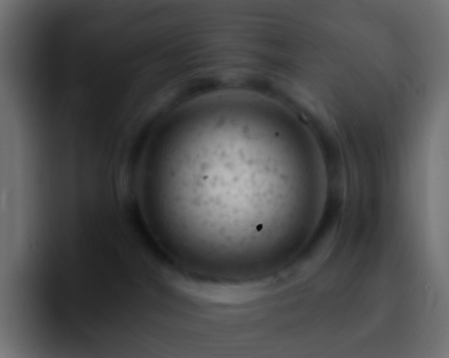X0000093170044200710031511