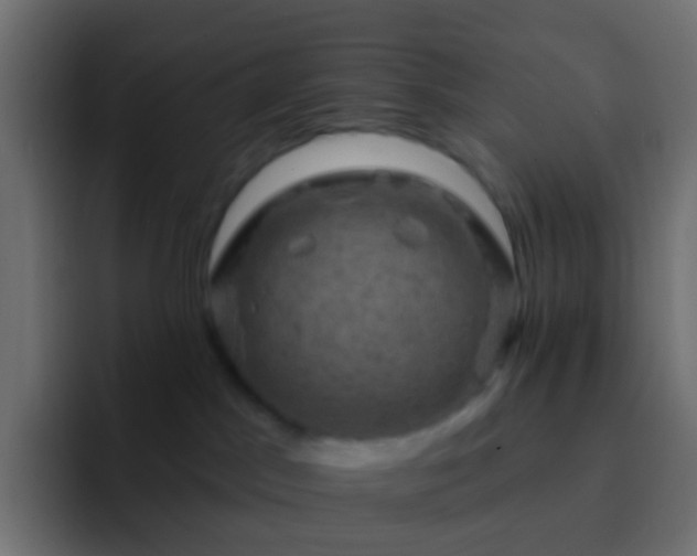 X0000093170045200710031511