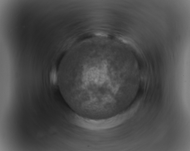 X0000093170046200710031511