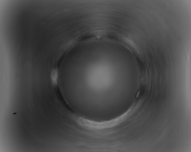 X0000093170047200710031511