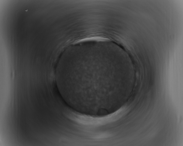 X0000093170048200710031511