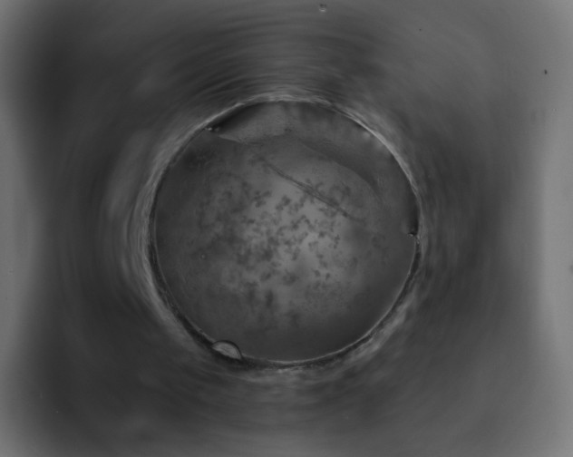 X0000093170049200710031511
