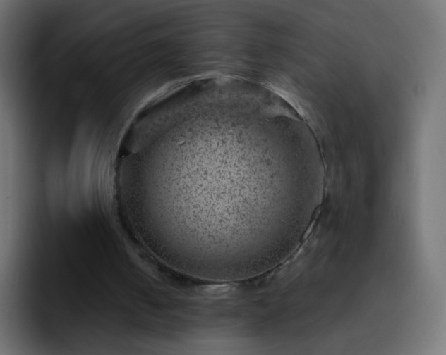 X0000093170050200710031511