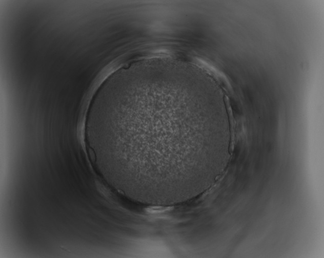 X0000093170051200710031511