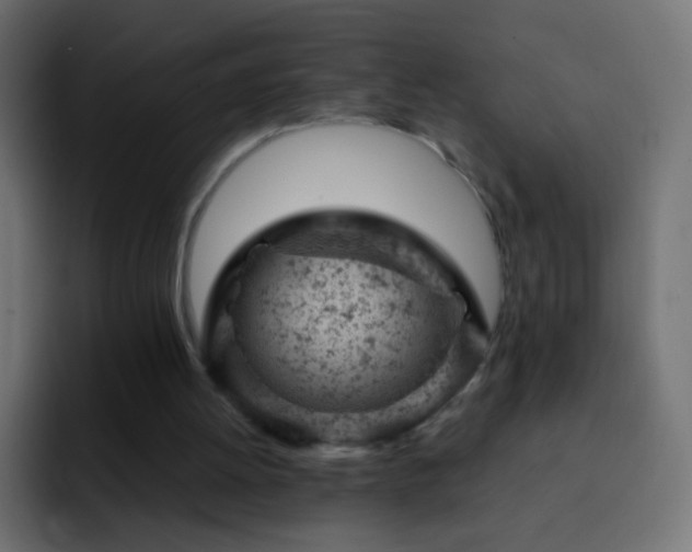 X0000093170052200710031511