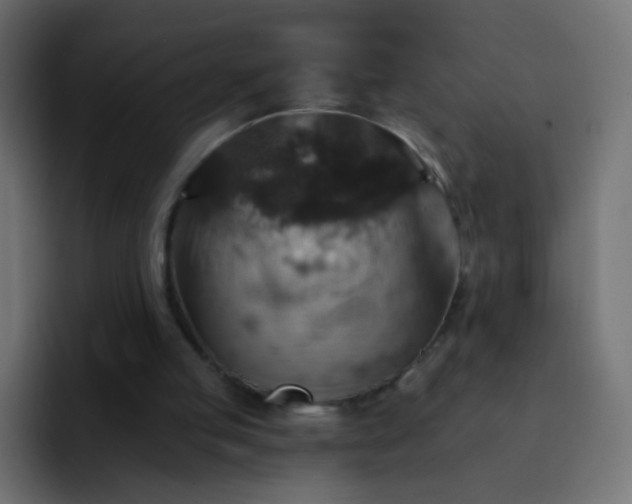 X0000093170053200710031511