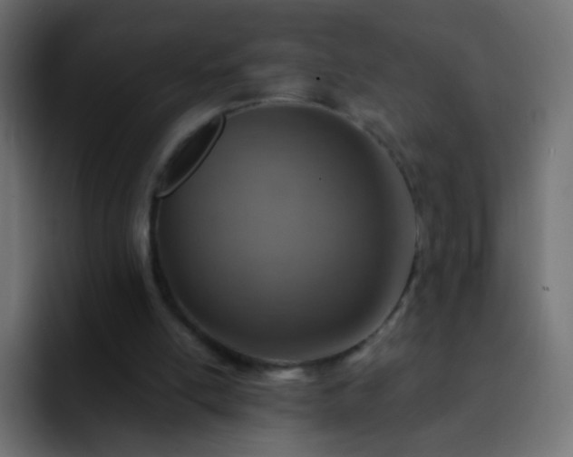 X0000093170054200710031511