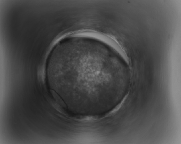 X0000093170056200710031511