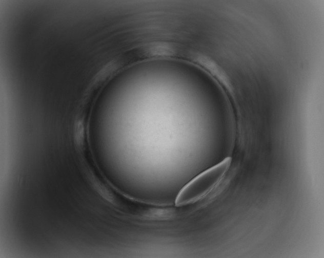 X0000093170057200710031511